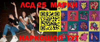 дмт Новозыбков